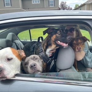 Meet your Posher, Alaina